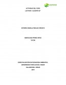 Actividad del foro lectura “Laudato si”