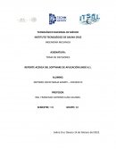 REPORTE ACERCA DEL SOFTWARE DE APLICACIÓN LINDO 6.1