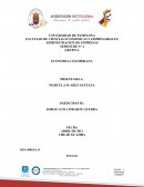 ECONOMIA COLOMBIANA. COVID-19