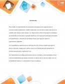 Caso La Leche Acida Potenciada Con La Implementación De Un Adecuado Proceso De Estrategias Tecnológicas