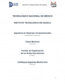 Formas de Organización de los Entes Económicos