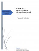 Clase N° 1 - Diagnóstico Organizacional