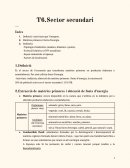 T6.Sector secundari geografia