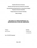 INFLUENCIA D E SIMON RODRIGUEZ Y SU IMPORTANCIA EN LA VIDA DEL LIBERTADOR