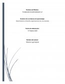 Desarrollando la filosofía organizacional de una empresa