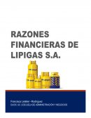 RATIOS FINANCIEROS LIPIGAS