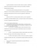 Ensayo historia de la gestión documental