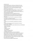 Mantenimiento de equipos en minas a cielo abierto