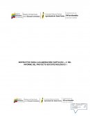 INFORME DEL PROYECTO SOCIOTECNOLÓGICO