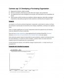 Resumen cavinato cap 13