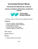 ARTERIAS, VENAS Y LINFÁTICOS DEL MIEMBRO INFERIOR