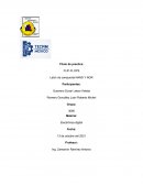 PRACTICA 2. FLIP FLOPS