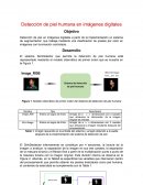 Deteccion de piel humana en imagenes digitales