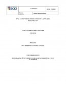 EVALUACION DE PELIGROS Y RIESGOS LABORALES INDUSTRIAS RT