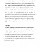 Interpretación de lo observado