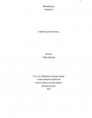 Humanizacion Modulo II