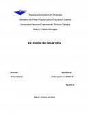 Un medio de desarrollo