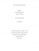 Tarea 1 - Informe Sistemas Productivos