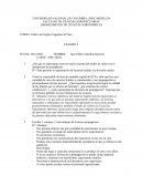 Cultivo de Tejidos Vegetales In Vitro