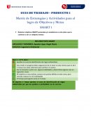 Matriz de Estrategias y Actividades para el logro de Objetivos y Metas