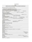 OBSERVACIÓN DE ENFERMERÍA POR PATRONES FUNCIONALES