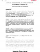 Modelo de constitucion