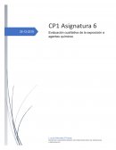 CP1 Tema 6 PRL Barnizado (sin catalizador)