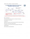América Latina, la pandemia y desarrollo