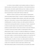 Resumen,La evolución