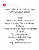 FINANCIAMIENTO EN REDES INTEGRADAS DE SALUD
