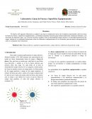 Laboratorio: Líneas de Fuerza y Superficies Equipotenciales