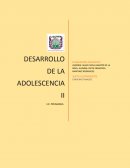 ANALISIS-CASO DE MARTIN