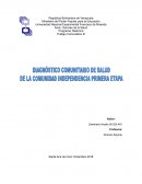 DIAGNOSTICO DE SALUD TRABAJO COMUNITARIO