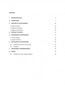 Investigación de mercado Cerveza D´olbek