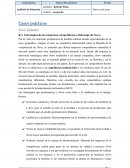 Estrategias de las empresas competidoras y liderazgo de Novo
