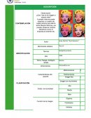 ANÁLISIS DE LA OBRA DE ARTE