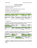 Análisis morfológico Galletas proteicas como suplemento nutricional