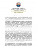 Cerebro y videojuegos