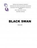 Analisis cisne negro