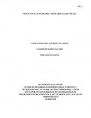 PROYECTO PLAN DE MEJORA CARNICERIA EL GRAN FILETE