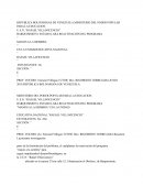 Manos a la siembra en la Unidad Educativa Nacional Rafael Villavicencio