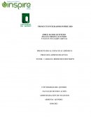 Proyecto de emprendimiento novedoso y amigable con el medio ambiente