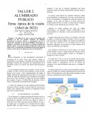 El ojo humano y la vision