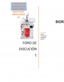 FORO DOBRE BIORREACTORES