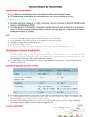 Teórica: Transporte de Fotoasimilados