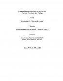 Académica 01 - "Sistema de costeo"