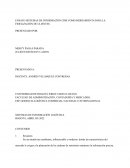 Ensayo Sistema de Informacion CMR