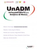 Muestras de Respuesta y los Principales Indicadores