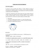 EJERCICIOS DE APALANCAMIENTO