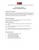 PROGRAMA DEL MÓDULO NEGOCIOS Y AMBIENTES DIGITALES